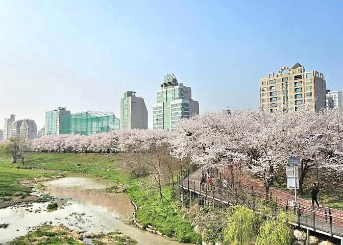 Hej Hi Ii#lotte World Jamsil#lotte Tower,#kspo Dome#sports Complex#jyp#coex#asan Medical Center *